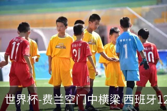 世界杯-费兰空门中横梁 西班牙12射4正半场暂0-0佛得角