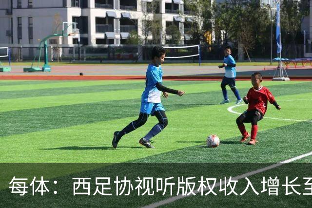 每体：西足协视听版权收入增长至1.173亿欧元 赞助也达8070万欧元
